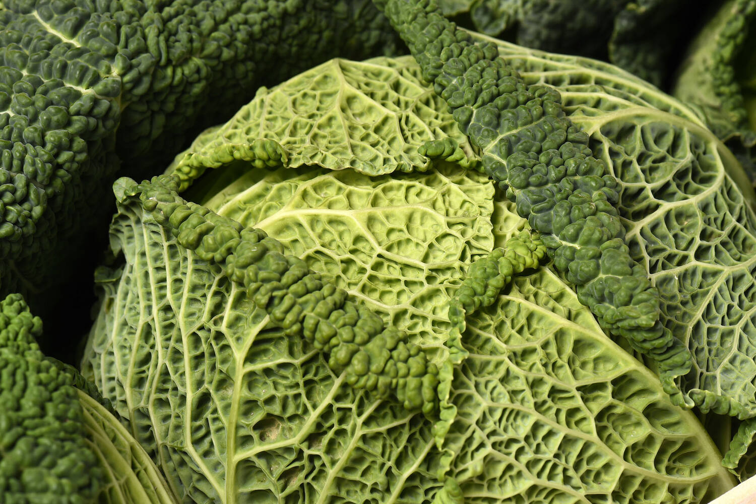 Groene kool 1x gesneden 1kg stuk 2